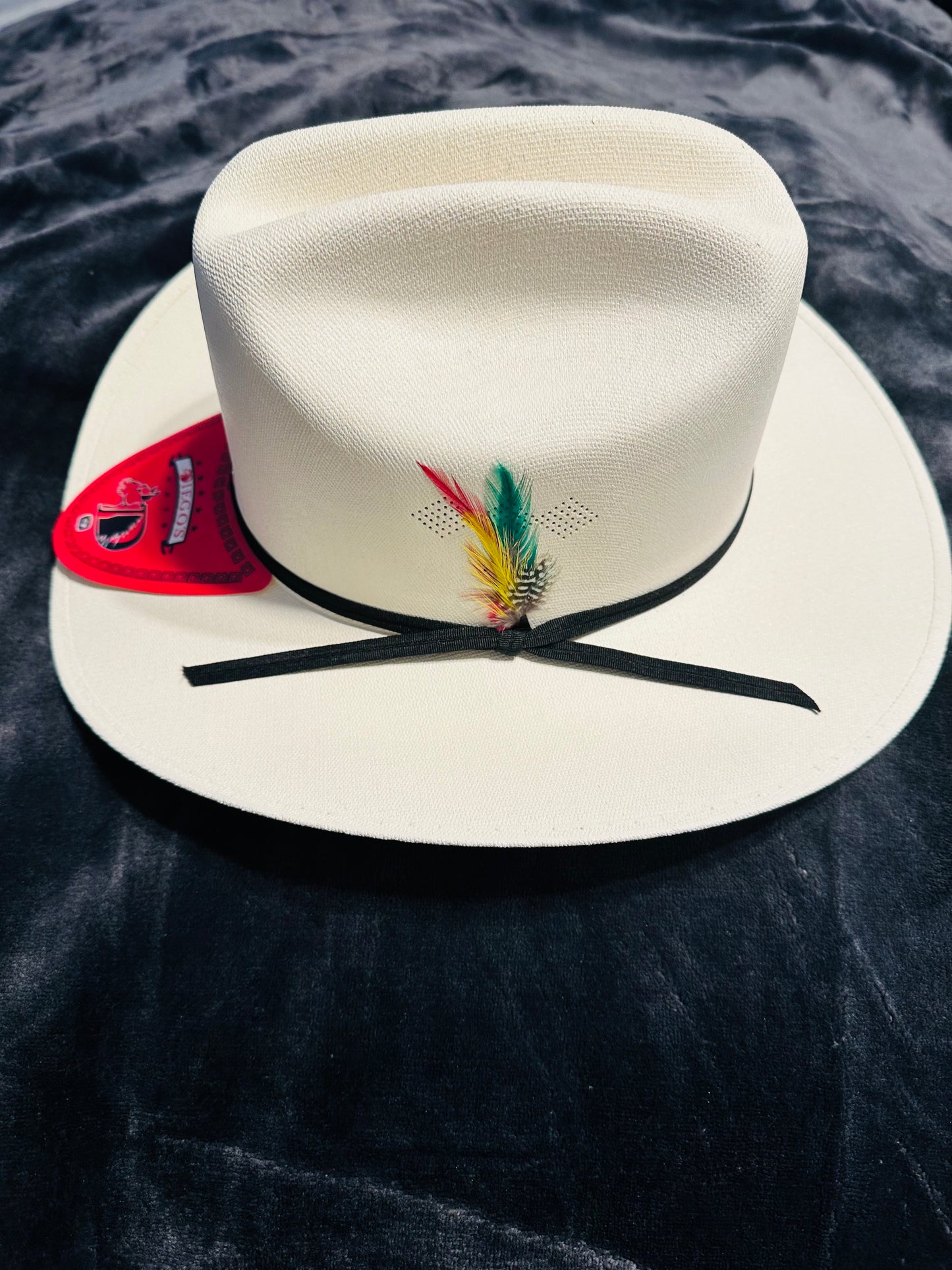 Sombrero estilo sinaloa 10x